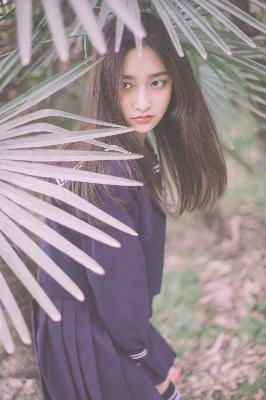 会长是女仆大人动漫完整版